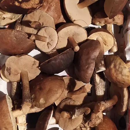 Lägenhet Cerny Potok 59